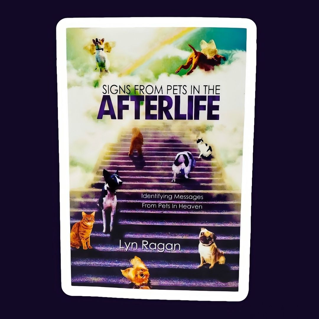 Signs from Pets in the Afterlife