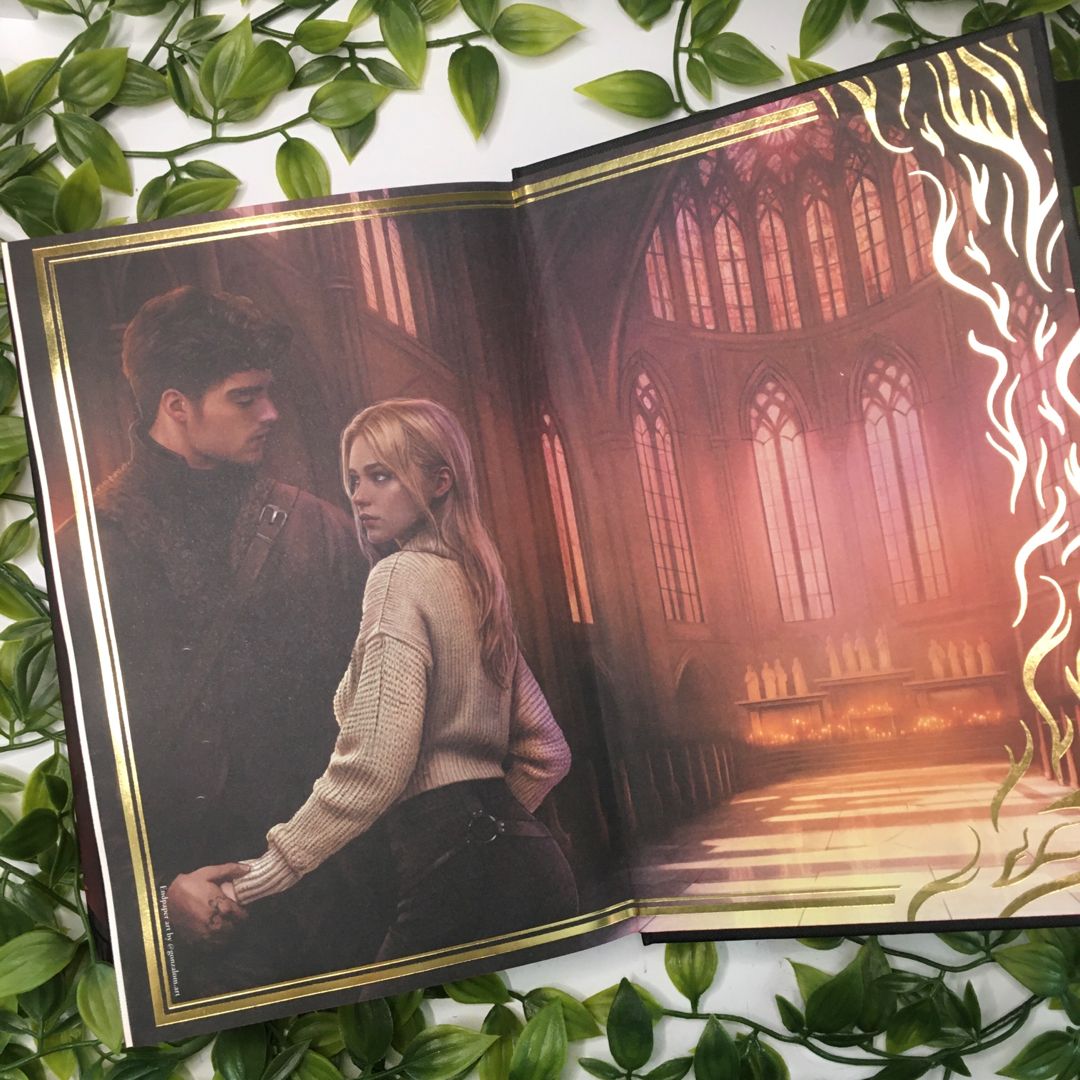 The Dagger and the Flame FairyLoot Exclusive by Catherine Doyle