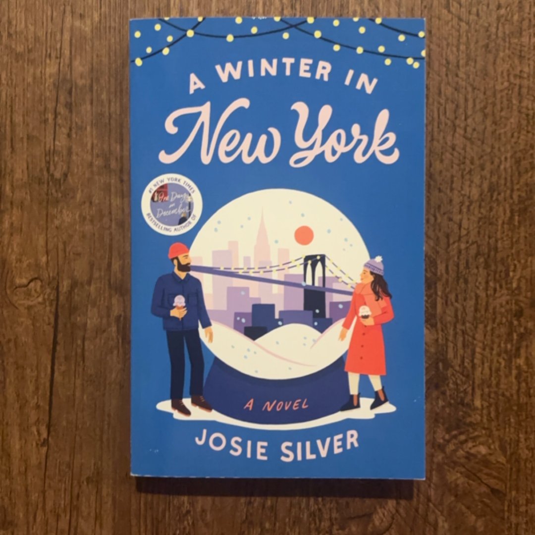 A Winter in New York