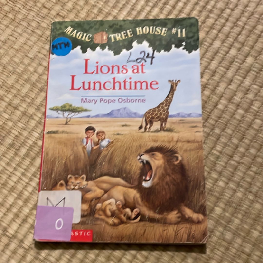 Lions at Lunchtime