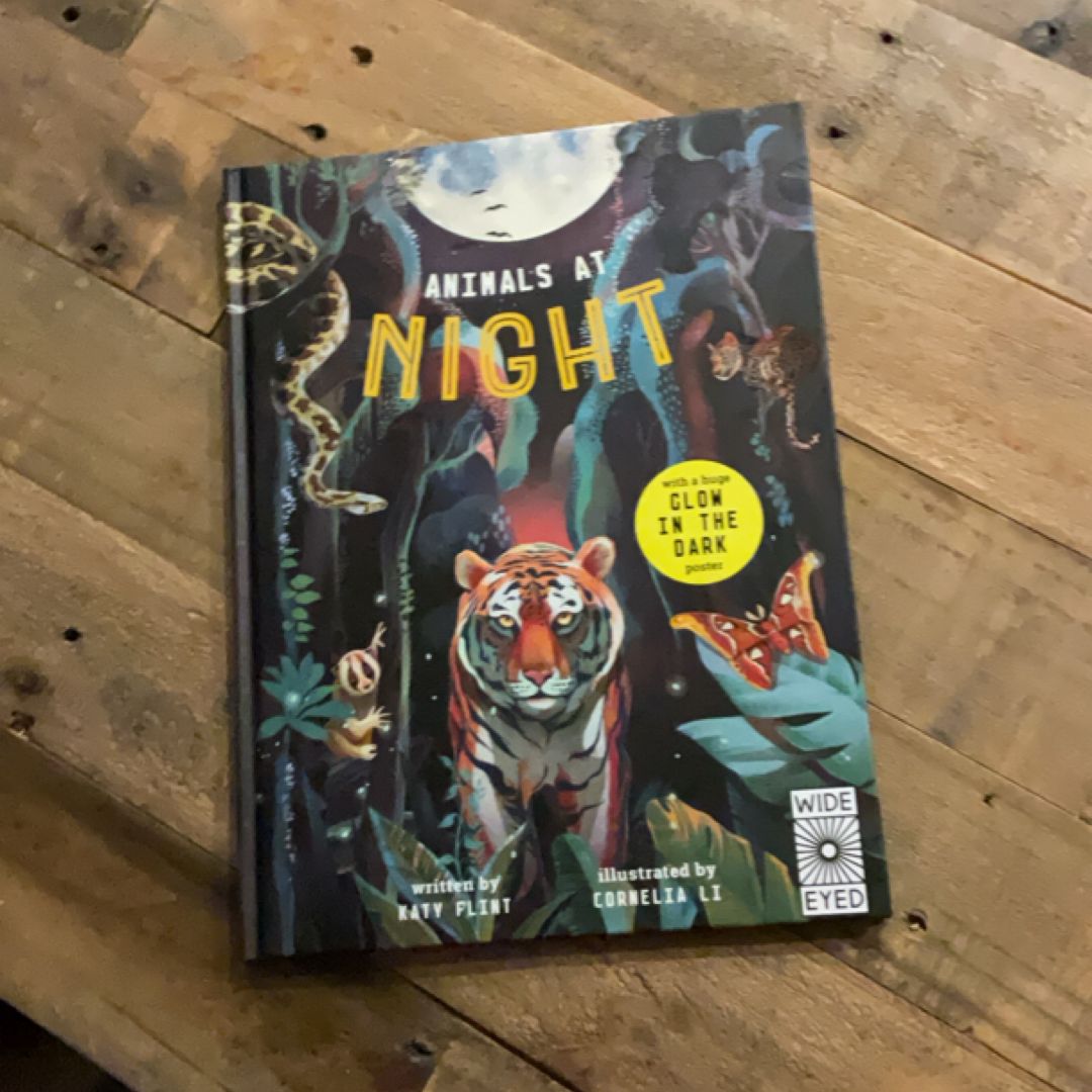 Glow in the Dark: Animals at Night