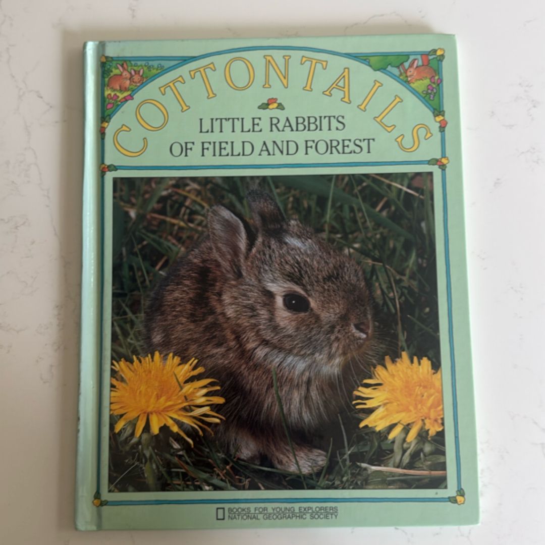 Cottontails