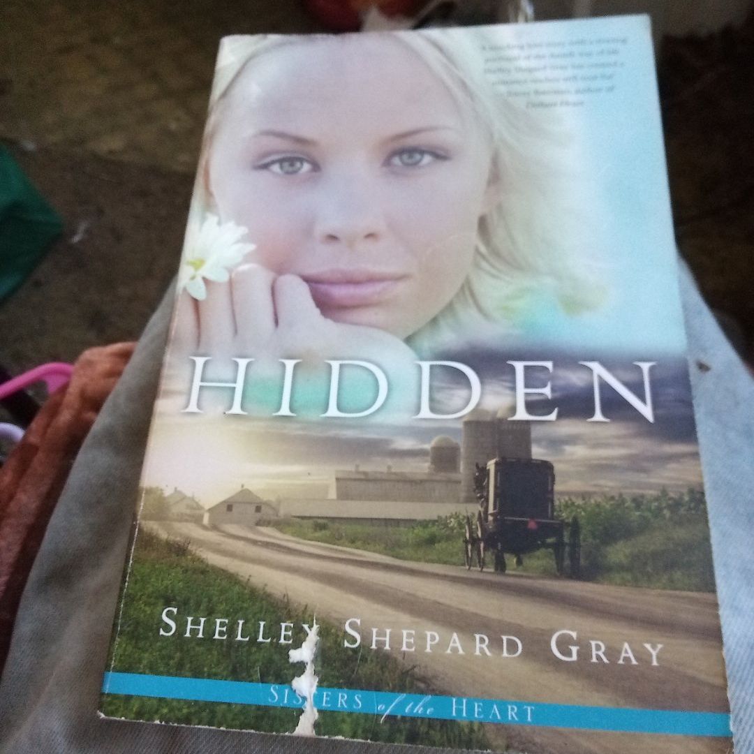 Hidden (Sisters of the Heart, Book 1)