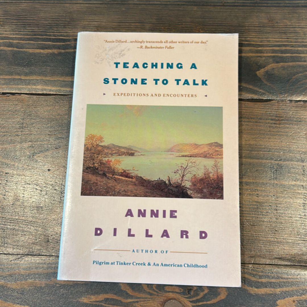 Teaching a Stone to Talk