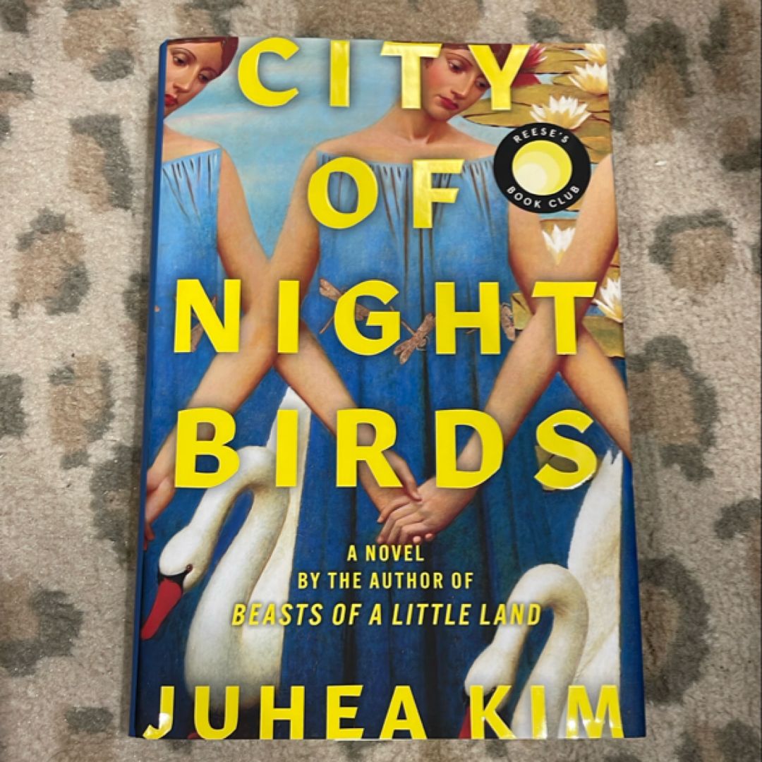 City of Night Birds