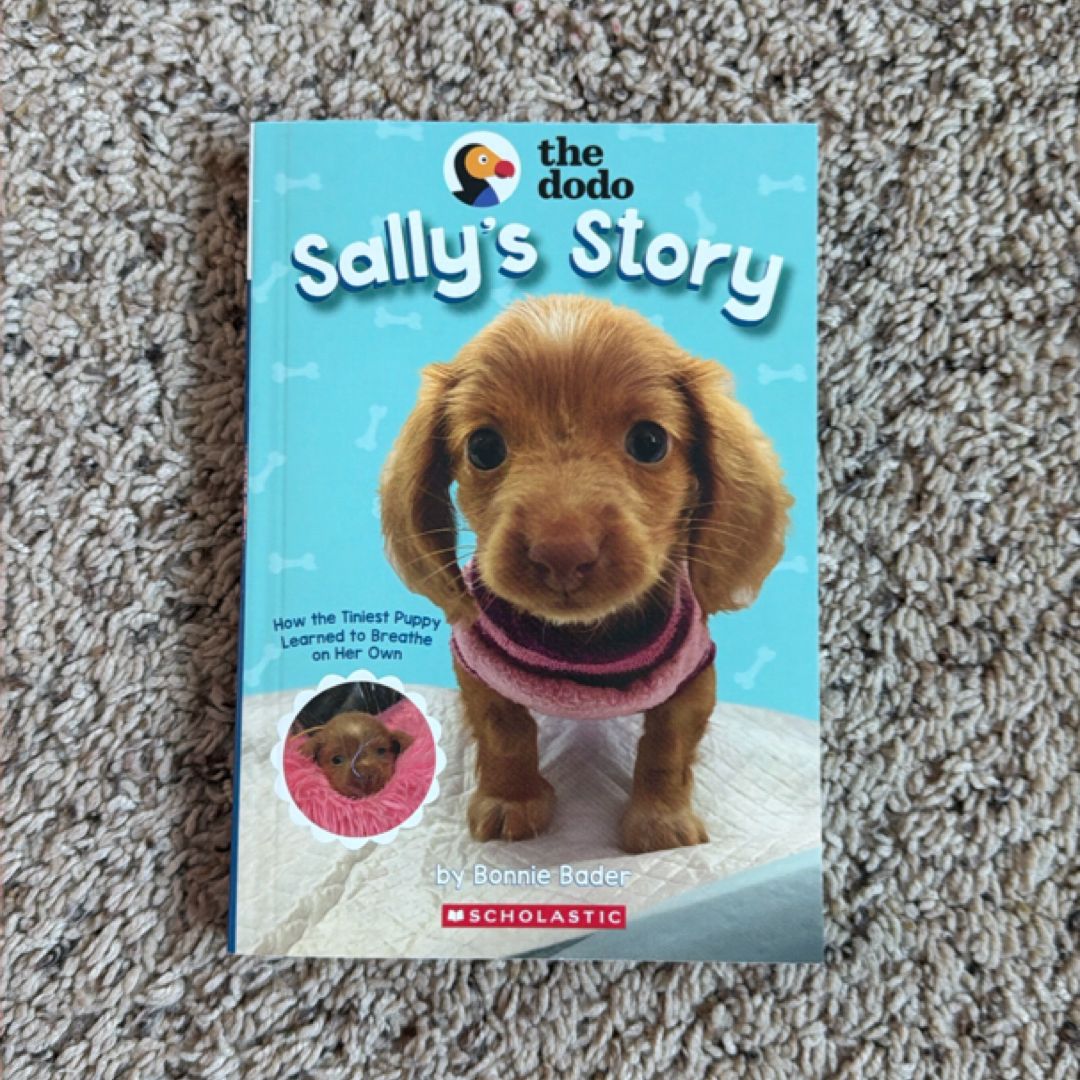 Sally's Story (the Dodo)