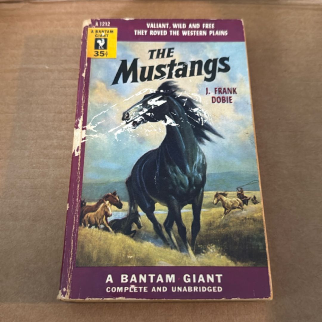 The Mustangs     59