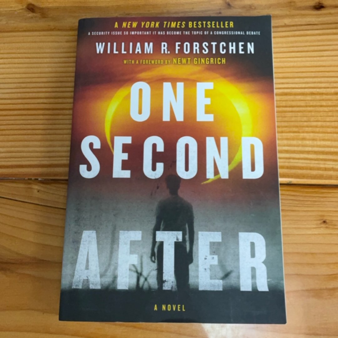 One Second After