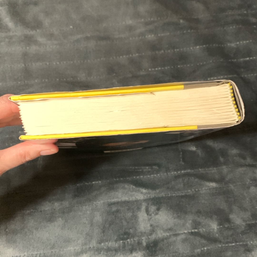 The Son (First Edition)