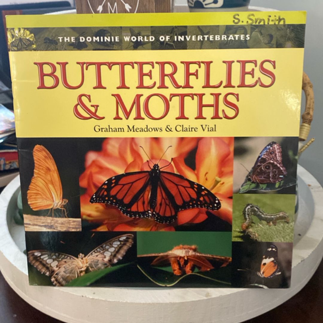 BUTTERFLIES and MOTHS