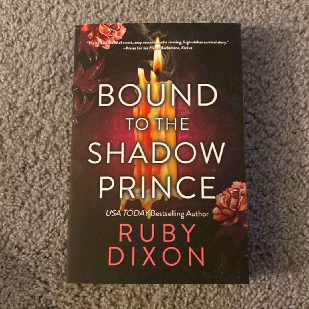 Bound to the Shadow Prince