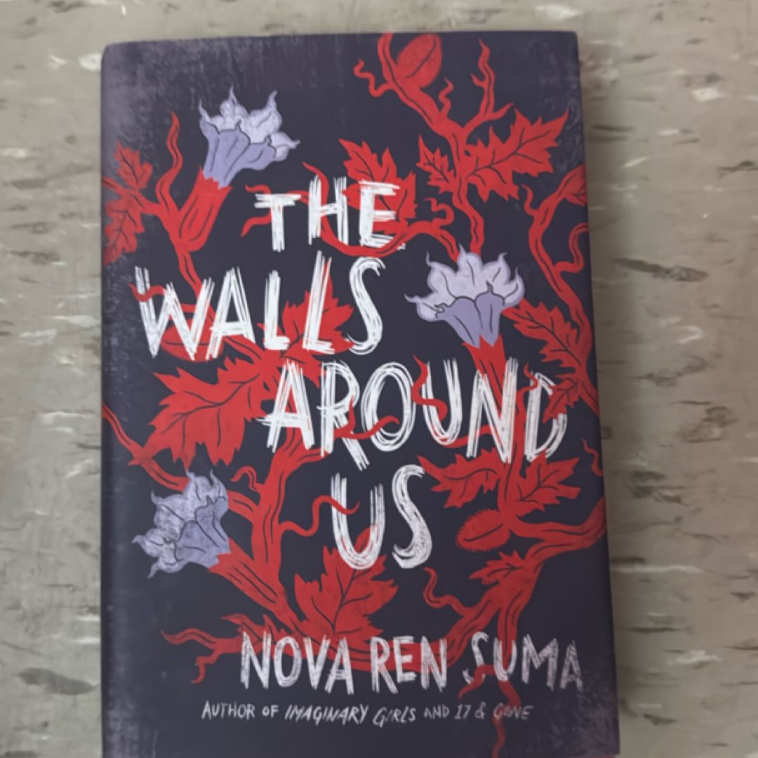 The Walls Around Us