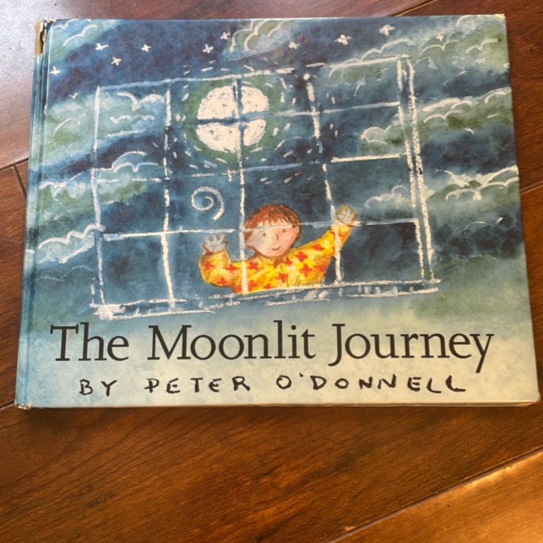 Moonlit Journey