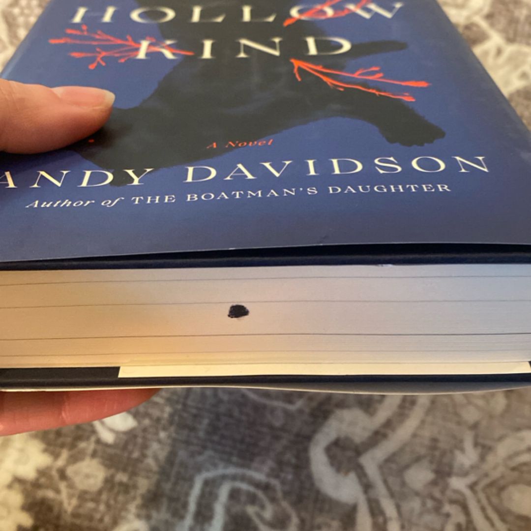 The Hollow Kind by Andy Davidson