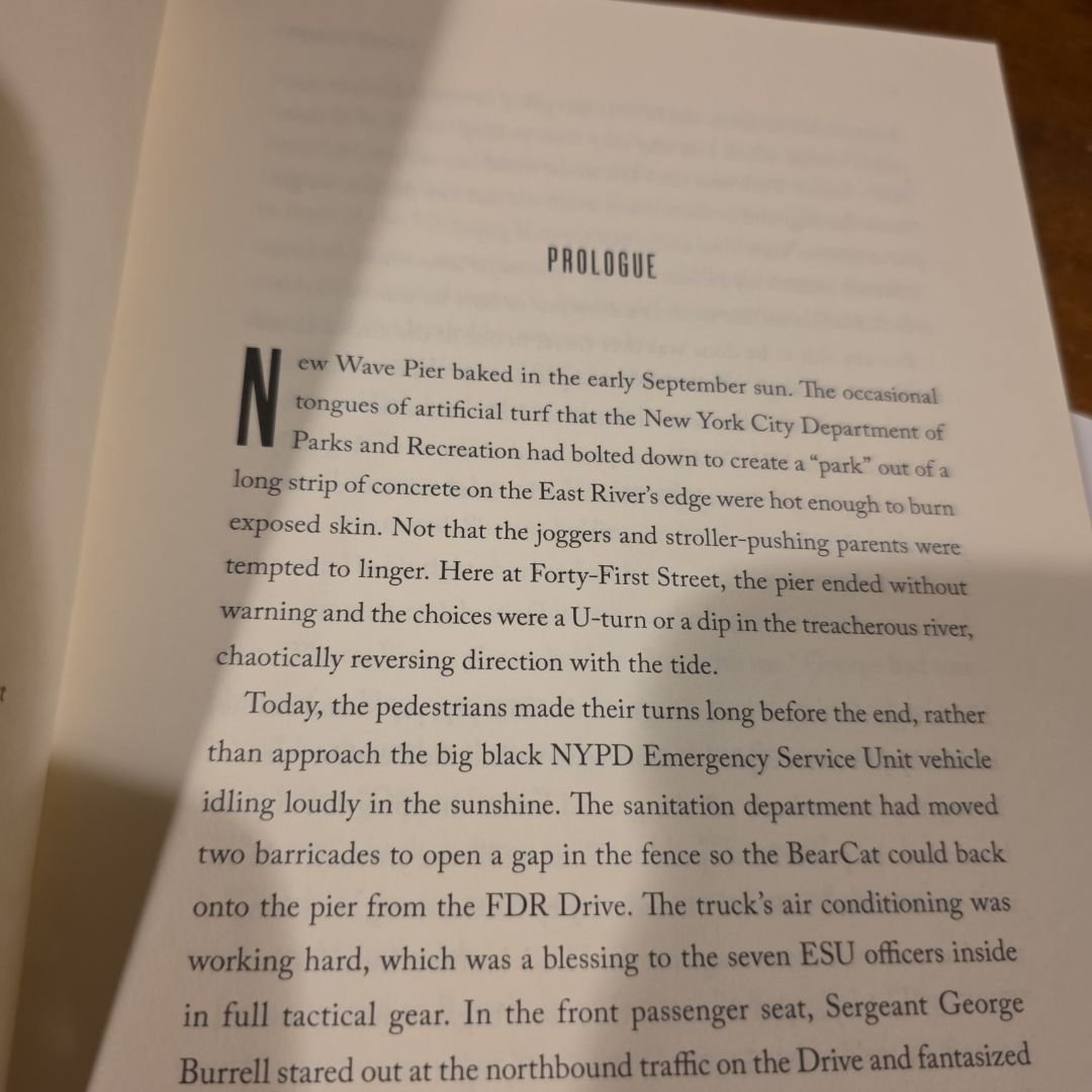 *INDIE-First Edition & First Printing* FDR Drive, Nora Carleton Series-Book 3 of 3