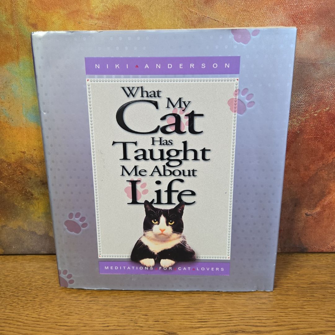 What My Cat Has Taught Me about Life