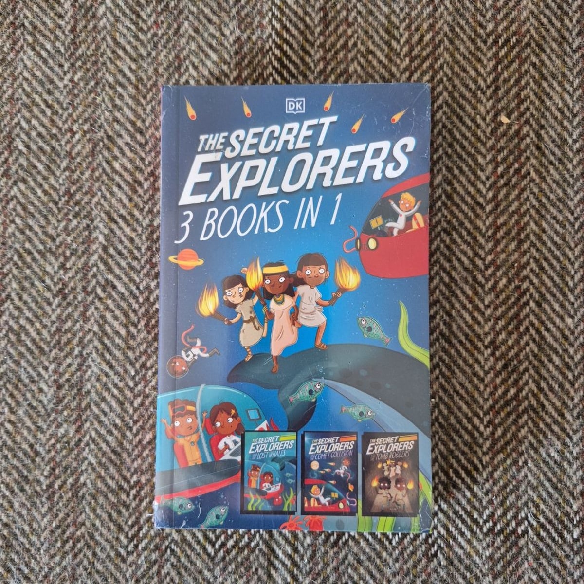 The Secret Explorers by SJ King