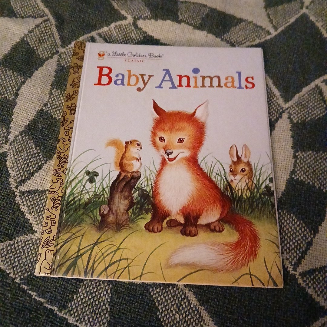 Baby Animals