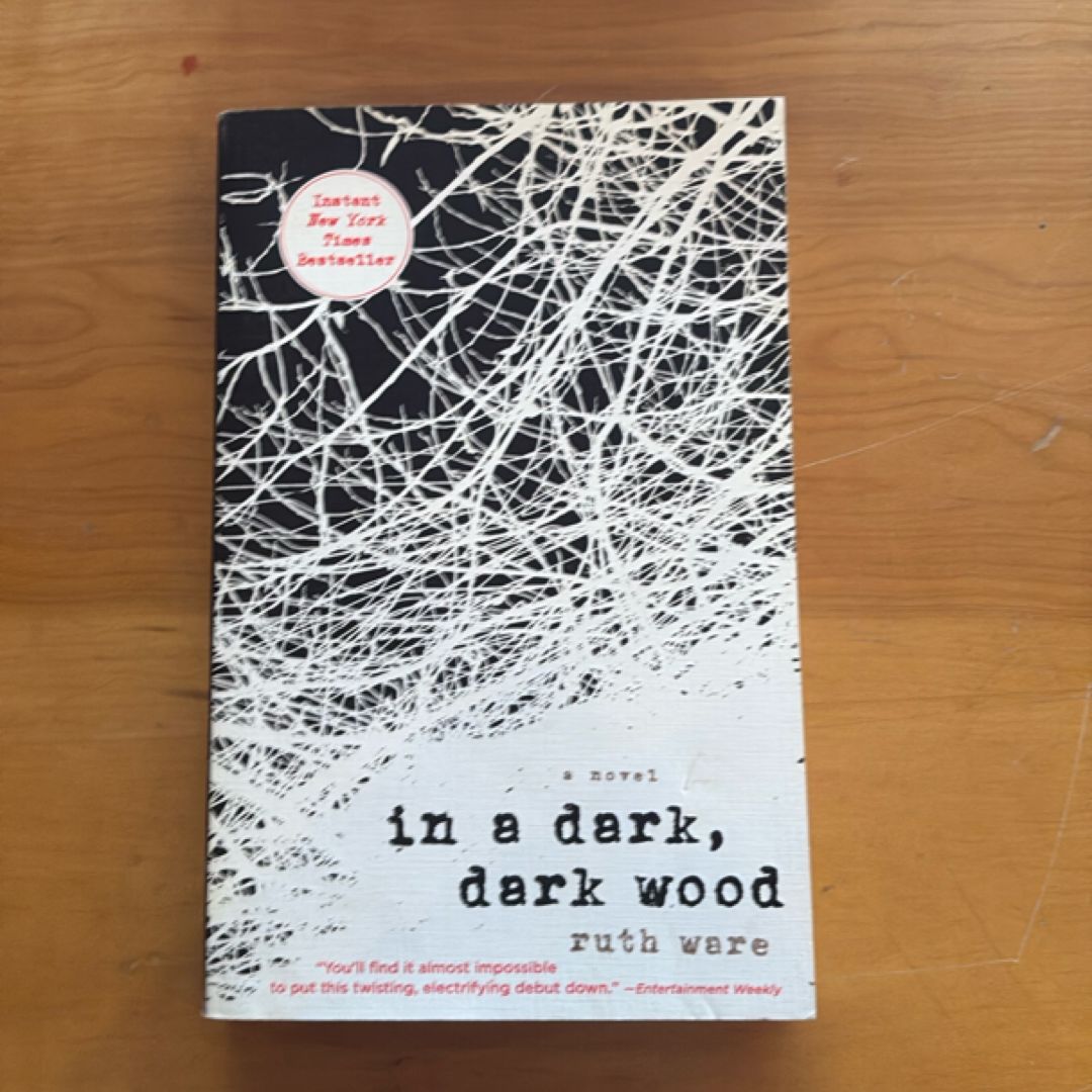 In a Dark, Dark Wood