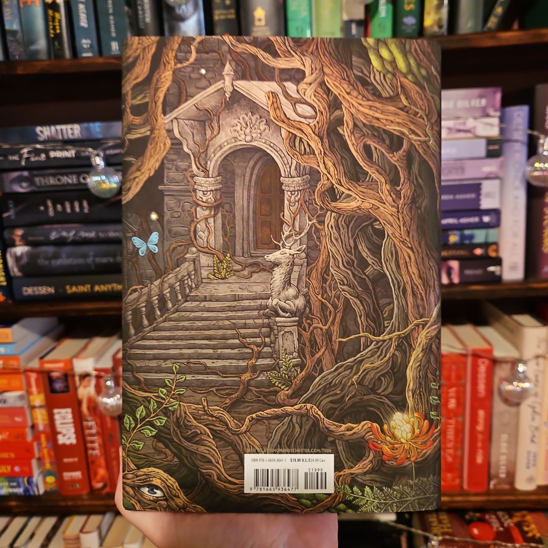 Where the Dark Stands Still