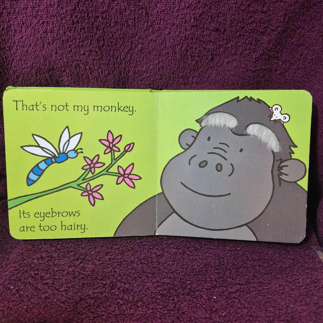 That's Not My Monkey