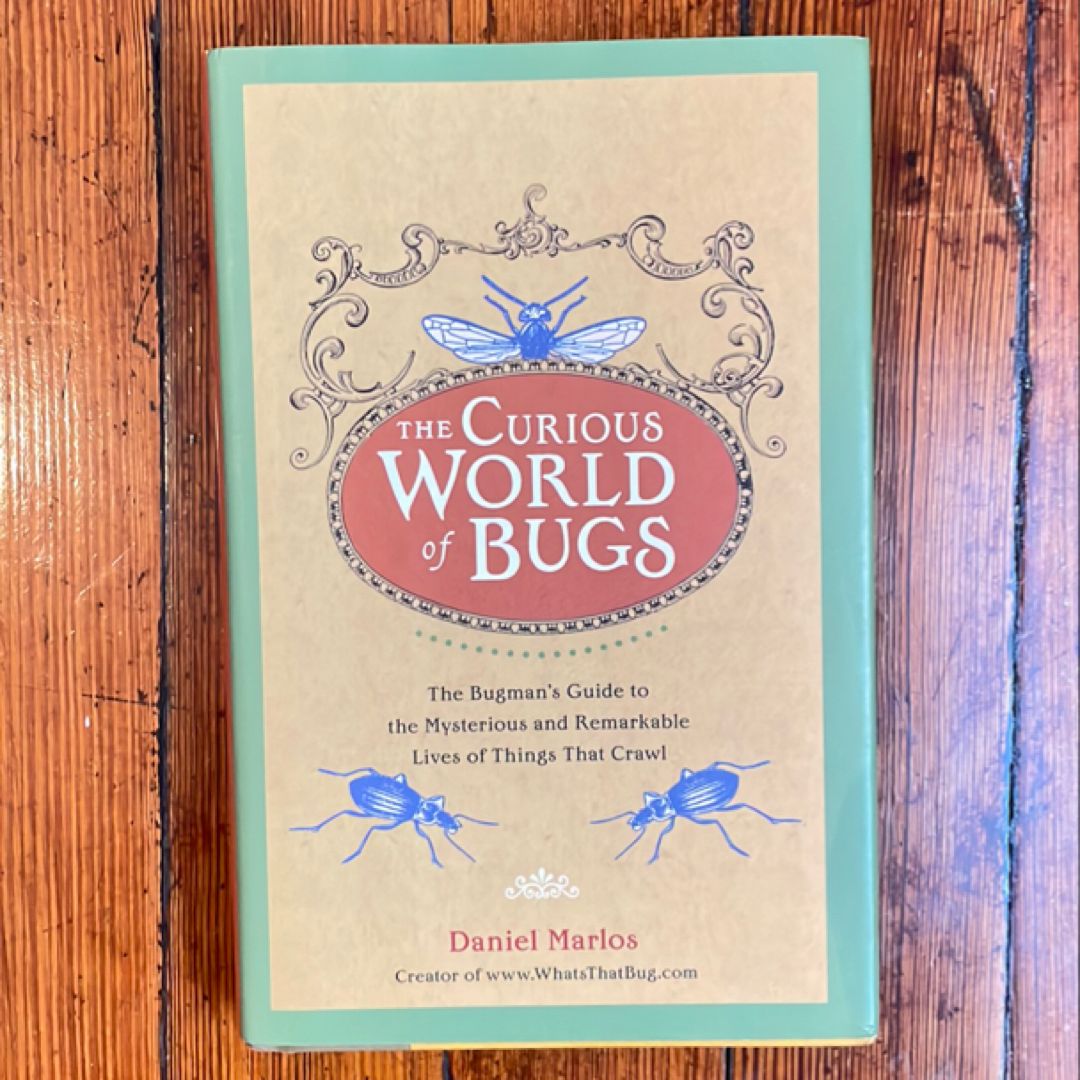 The Curious World of Bugs