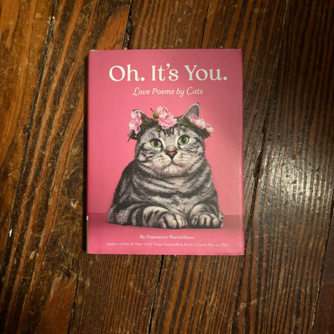 Oh. It's You