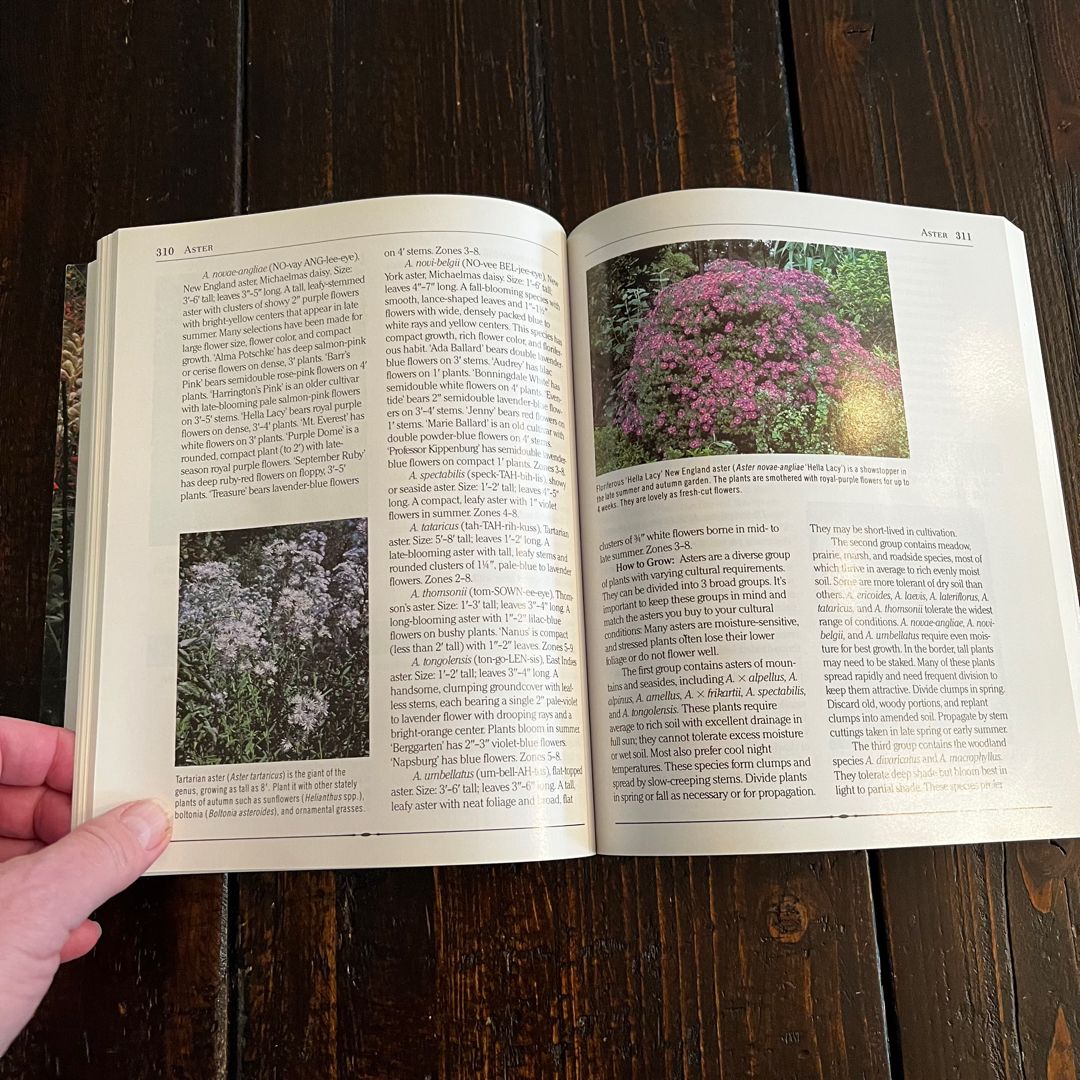 Rodale's Illustrated Encyclopedia of Perennials by Ellen Phillips; C ...