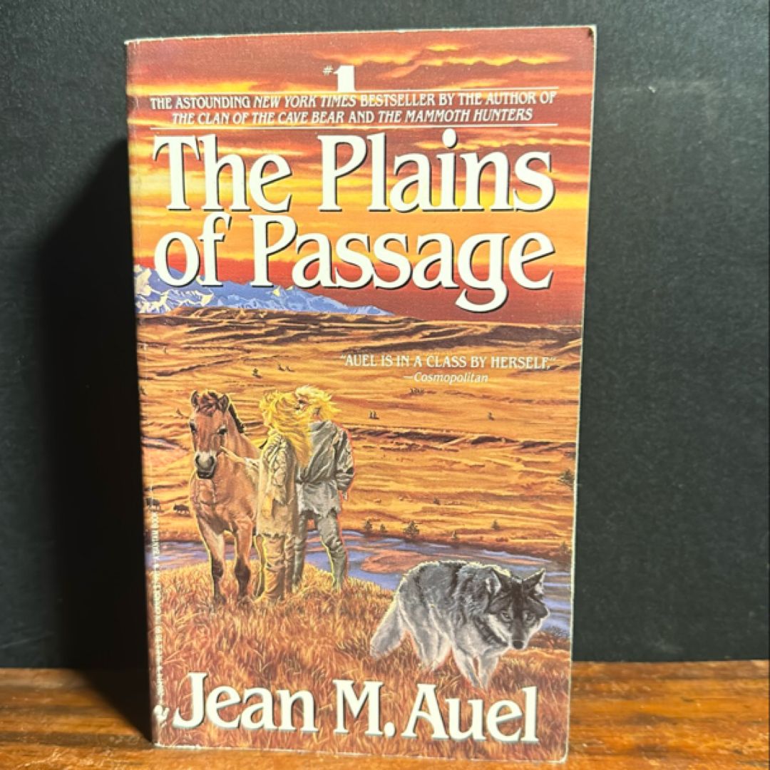 The Plains of Passage