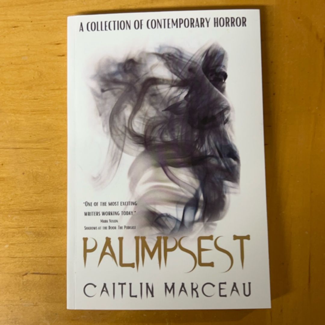 Palimpsest