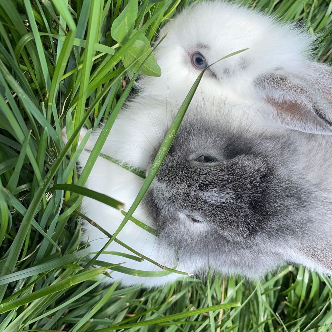 Lynsey’s Book Attic