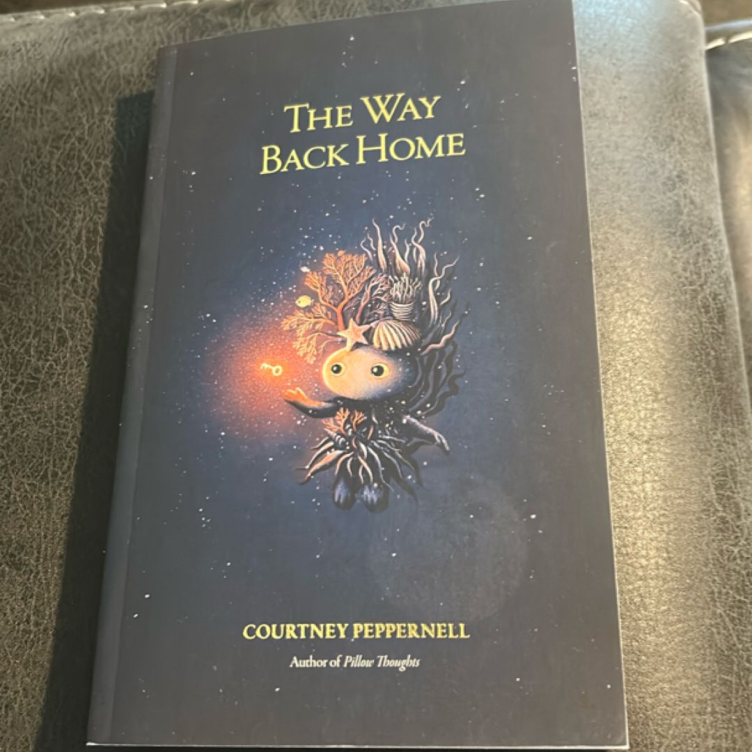 The Way Back Home