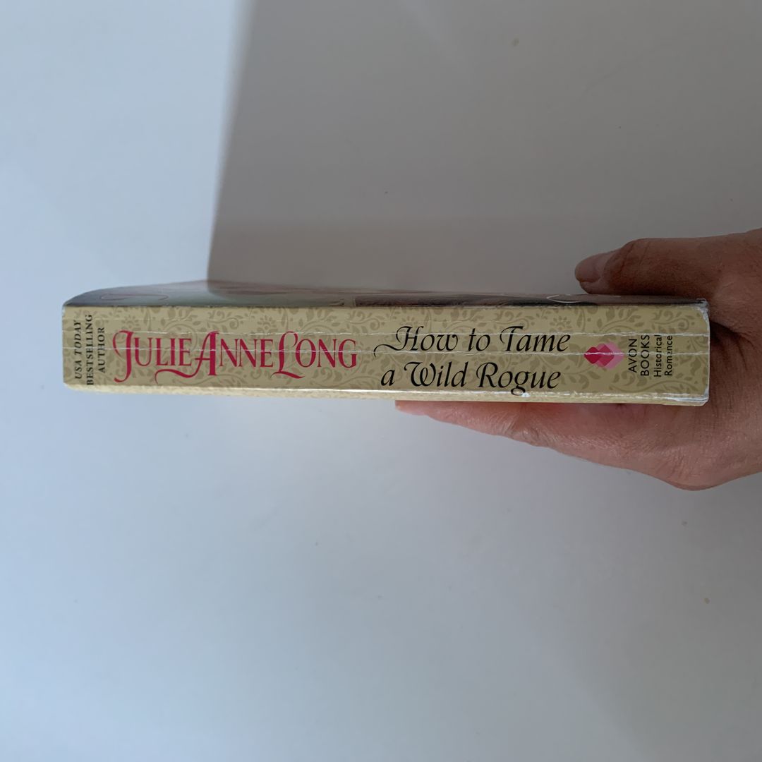 How to Tame a Wild Rogue