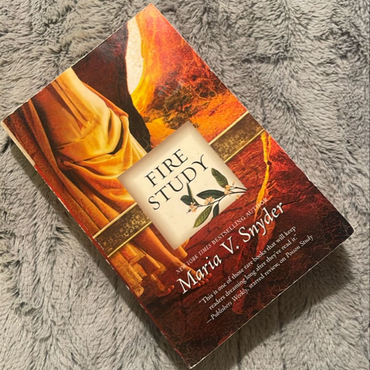 Fire Study by Maria V. Snyder, Paperback | Pangobooks
