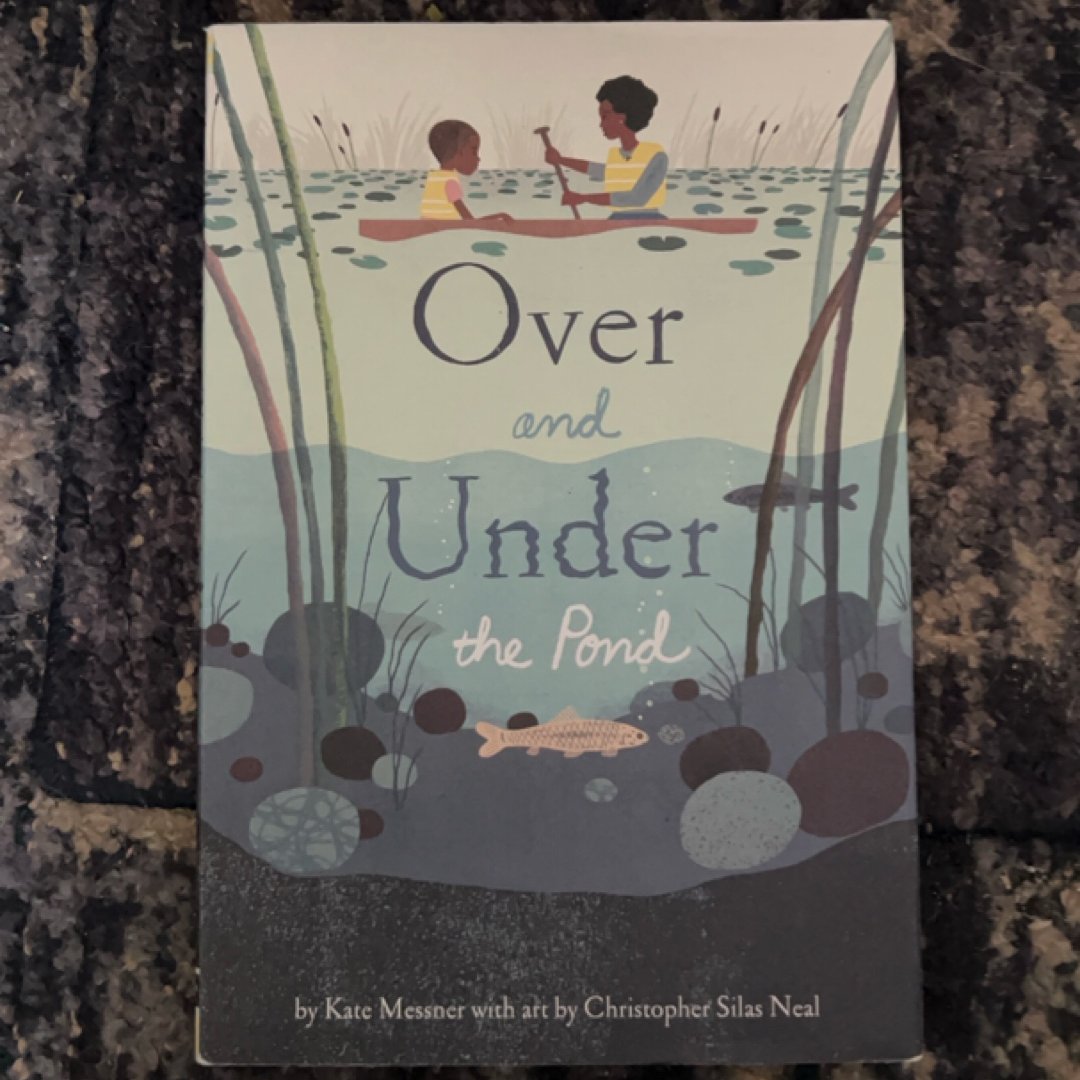 Over and under the Pond