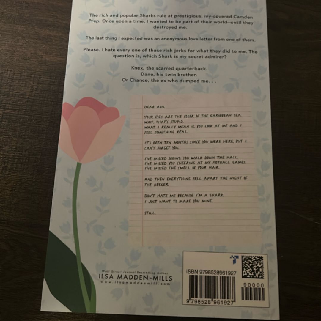 Dear Ava: Enemies-to-Lovers Standalone Romance