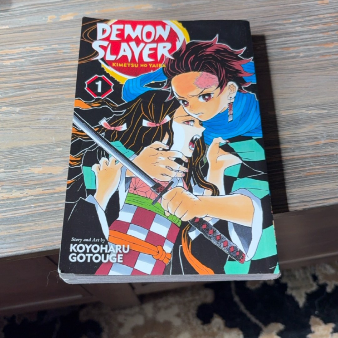 Demon Slayer: Kimetsu No Yaiba, Vol. 1