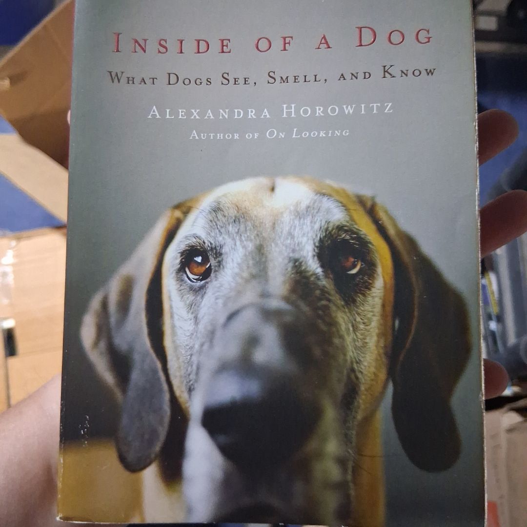 Inside of a Dog