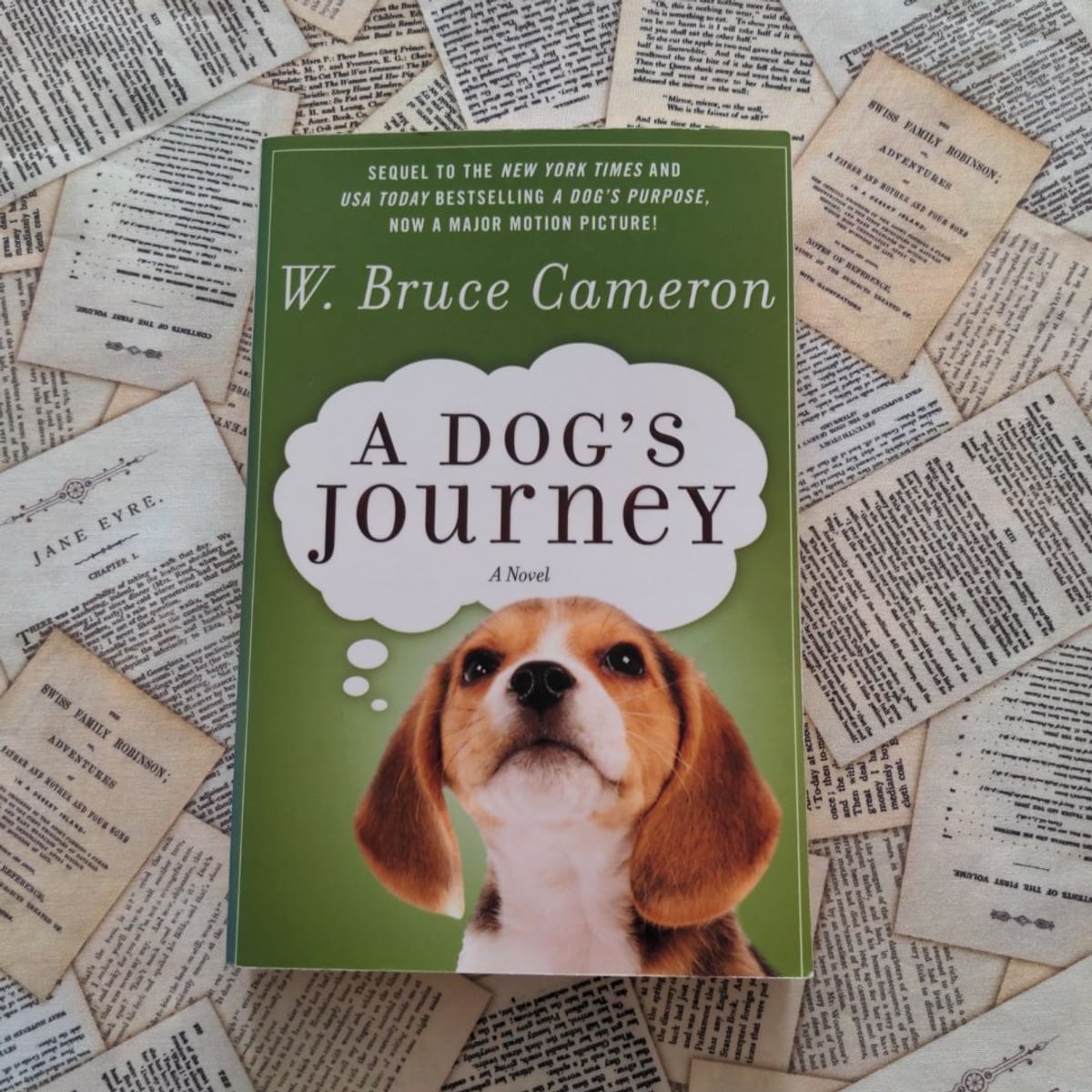 A Dog's Journey by W. Bruce Cameron