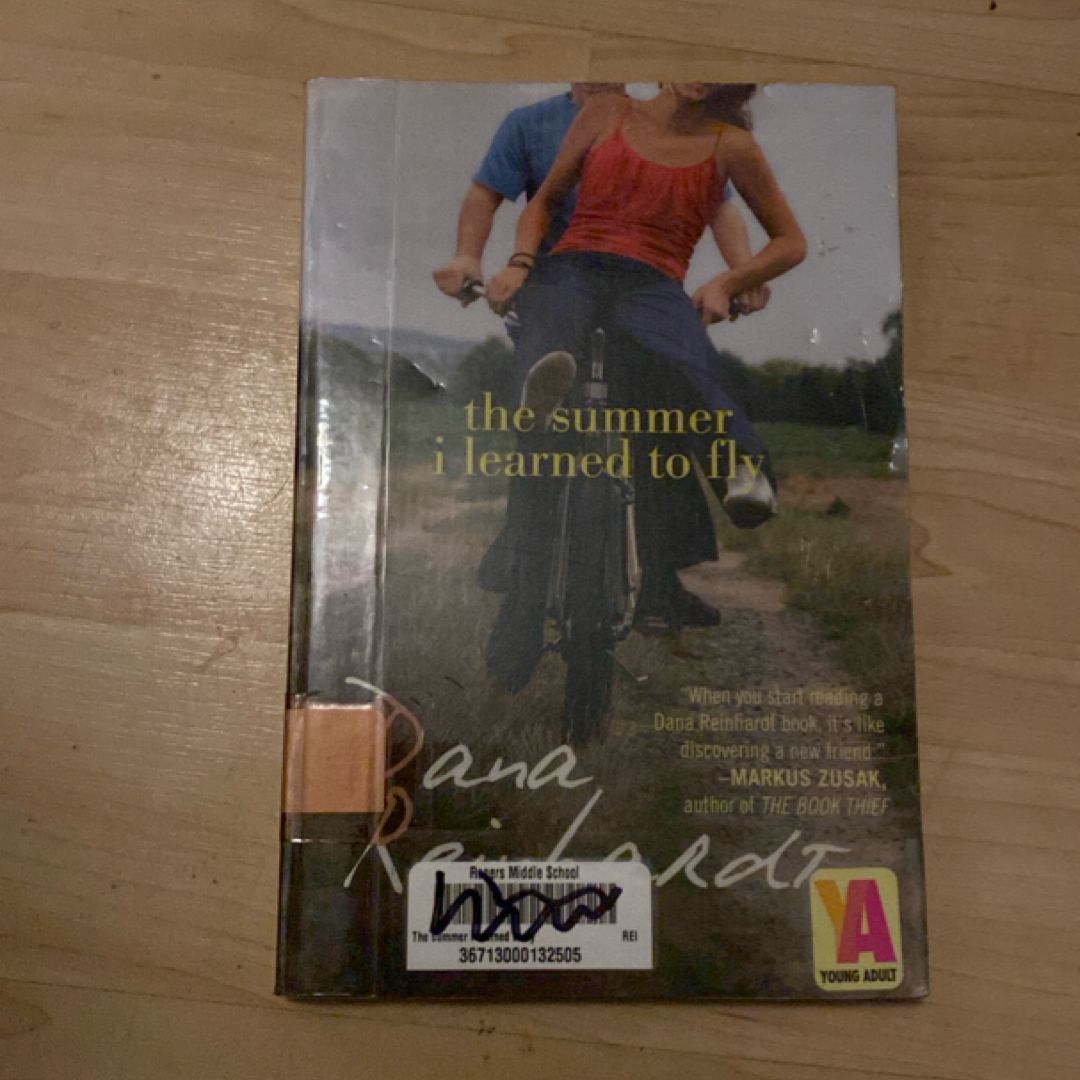 The Summer I Learned to Fly