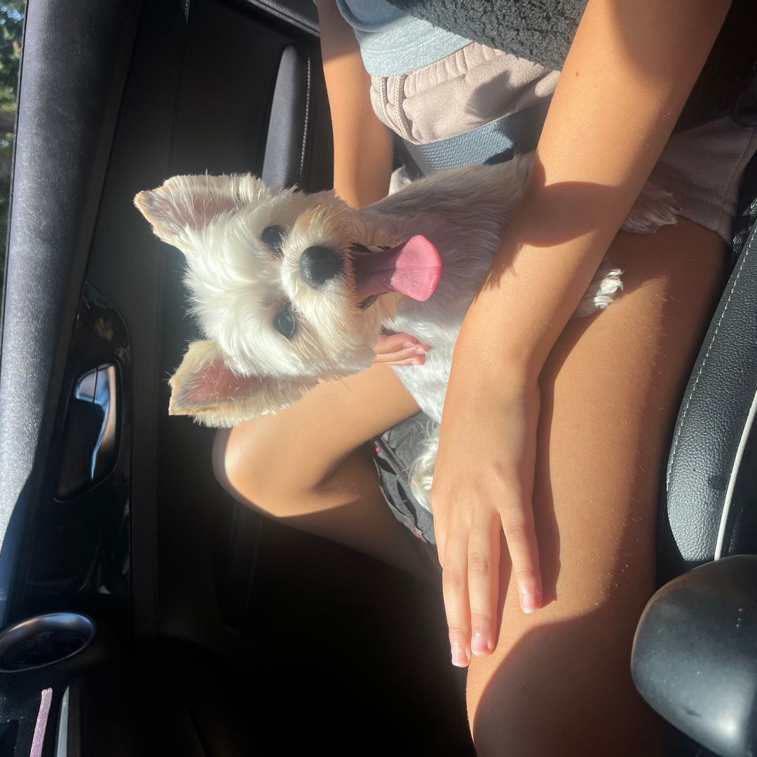 Books & Cooks 📚🐾