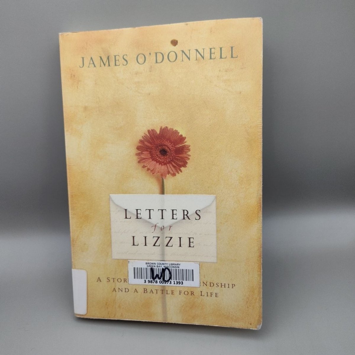 Letters for Lizzie by James O'Donnell, Paperback | Pangobooks