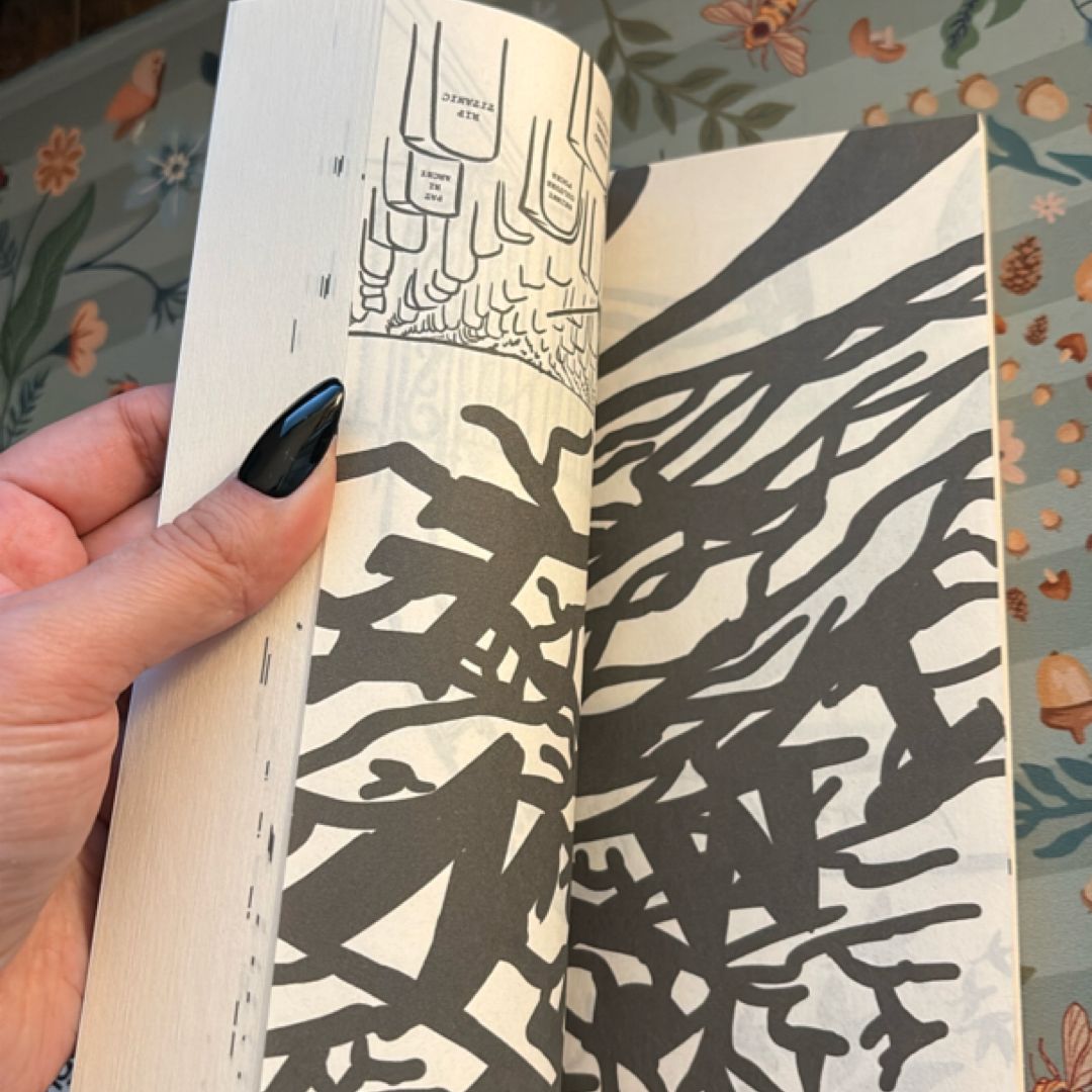 The Collectors: Stories