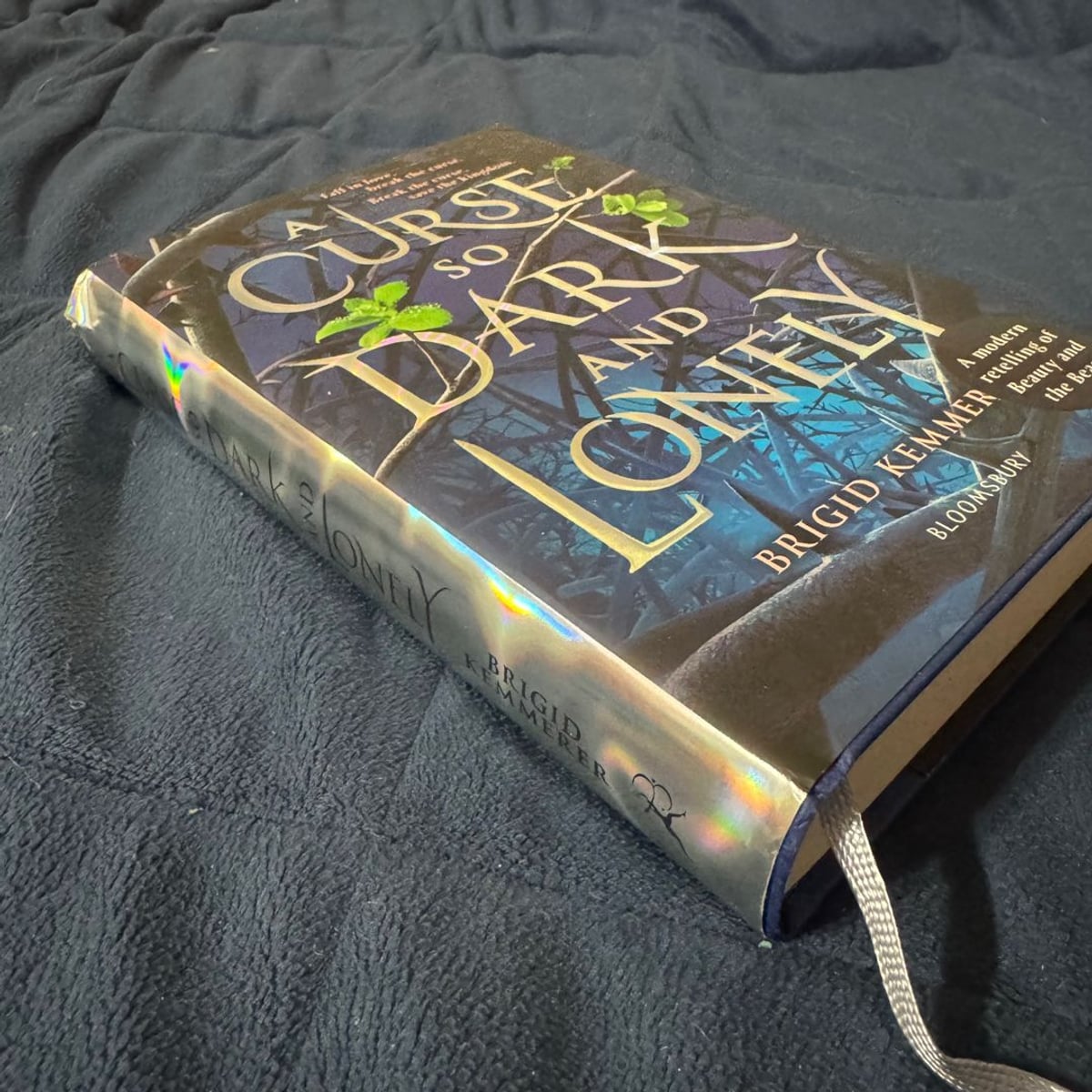 A Curse So Dark and Lonely by Brigid Kemmerer, | PangoBooks