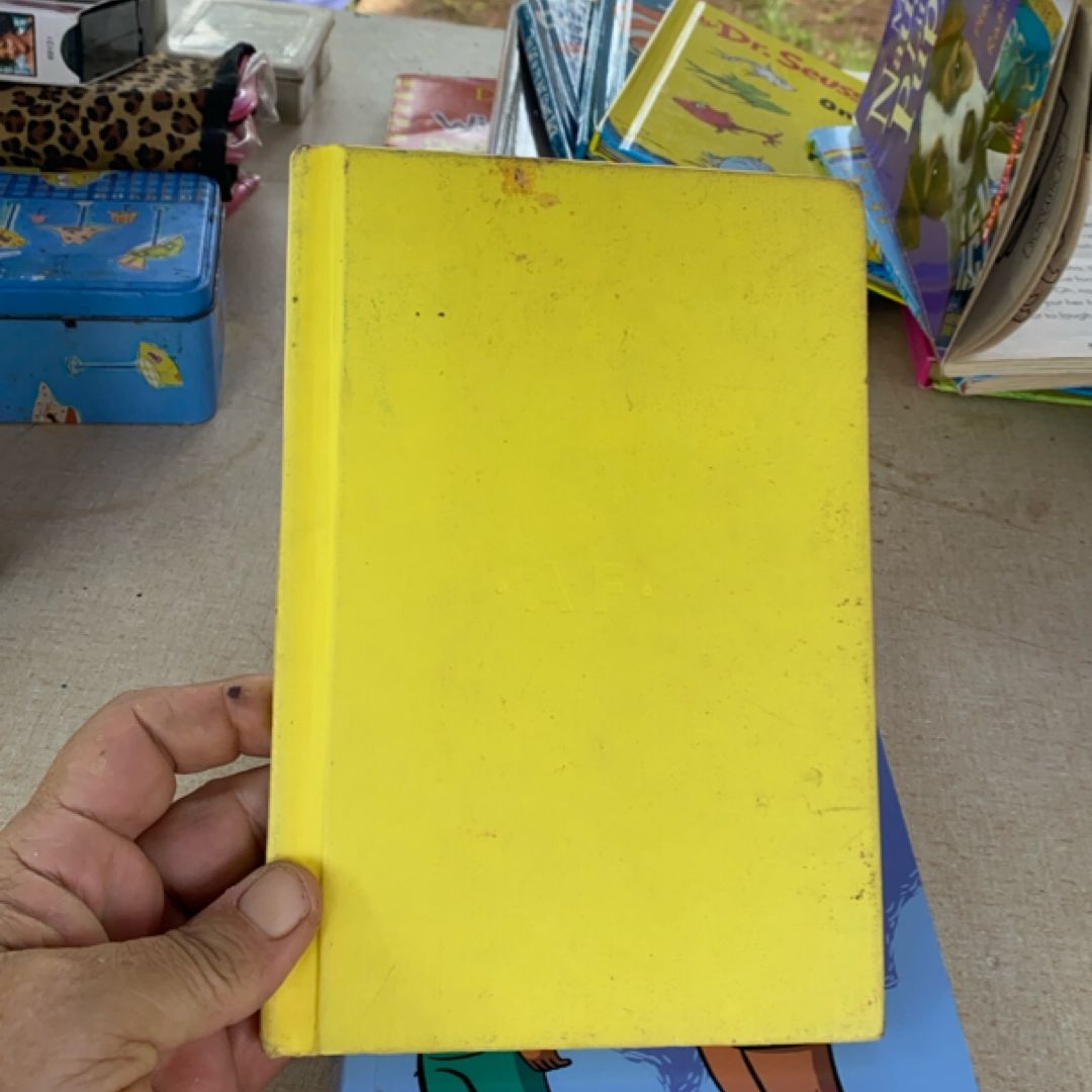 The Diary of a Killer Cat
