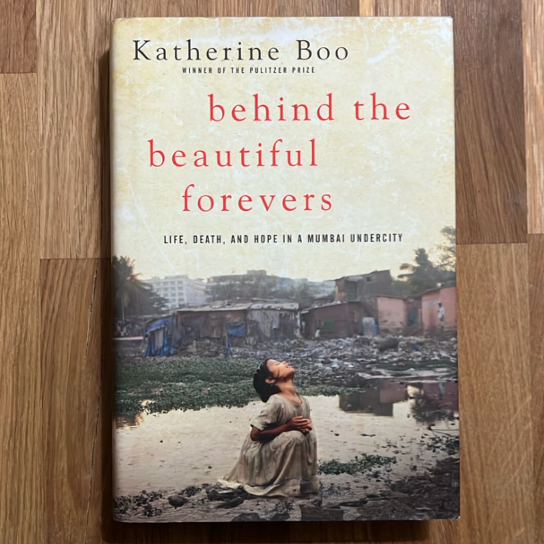 Behind the Beautiful Forevers