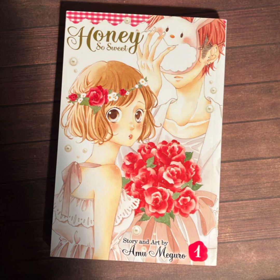 Honey So Sweet, Vols. 1-5