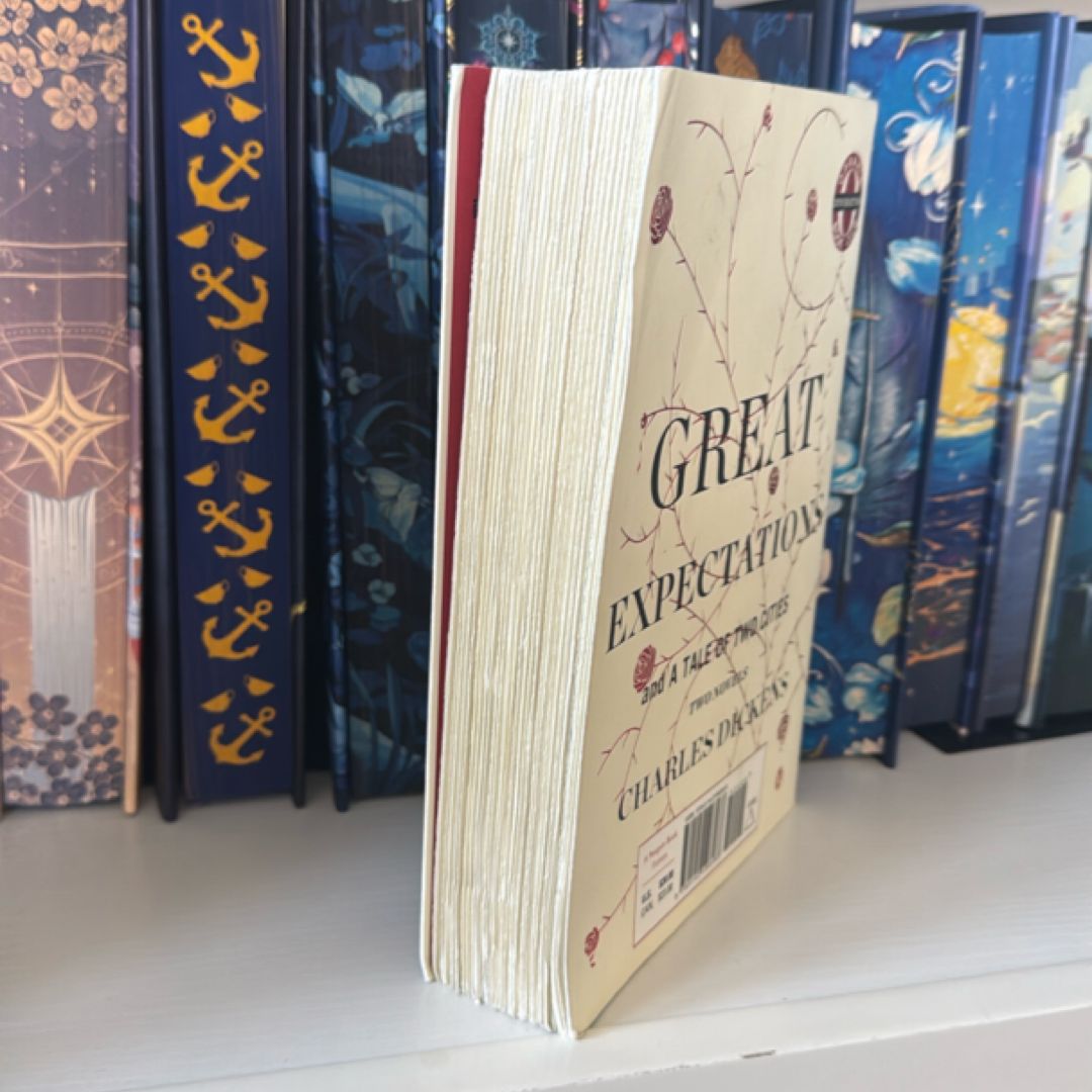 A Tale of Two Cities and Great Expectations
