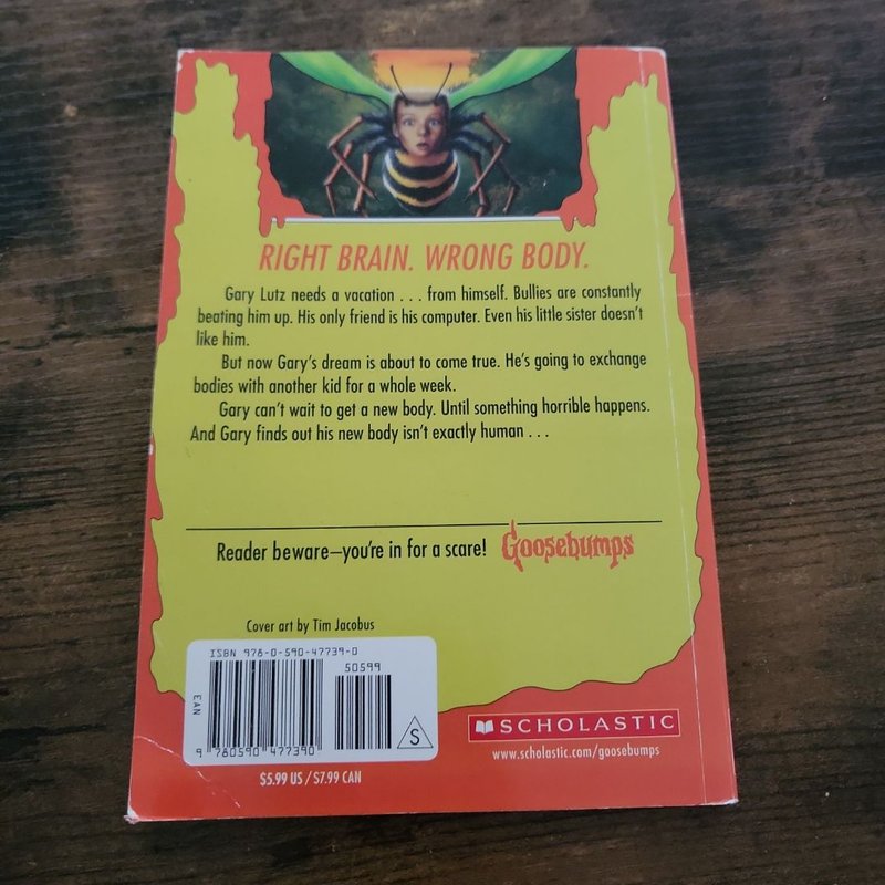 Why I'm Afraid of Bees