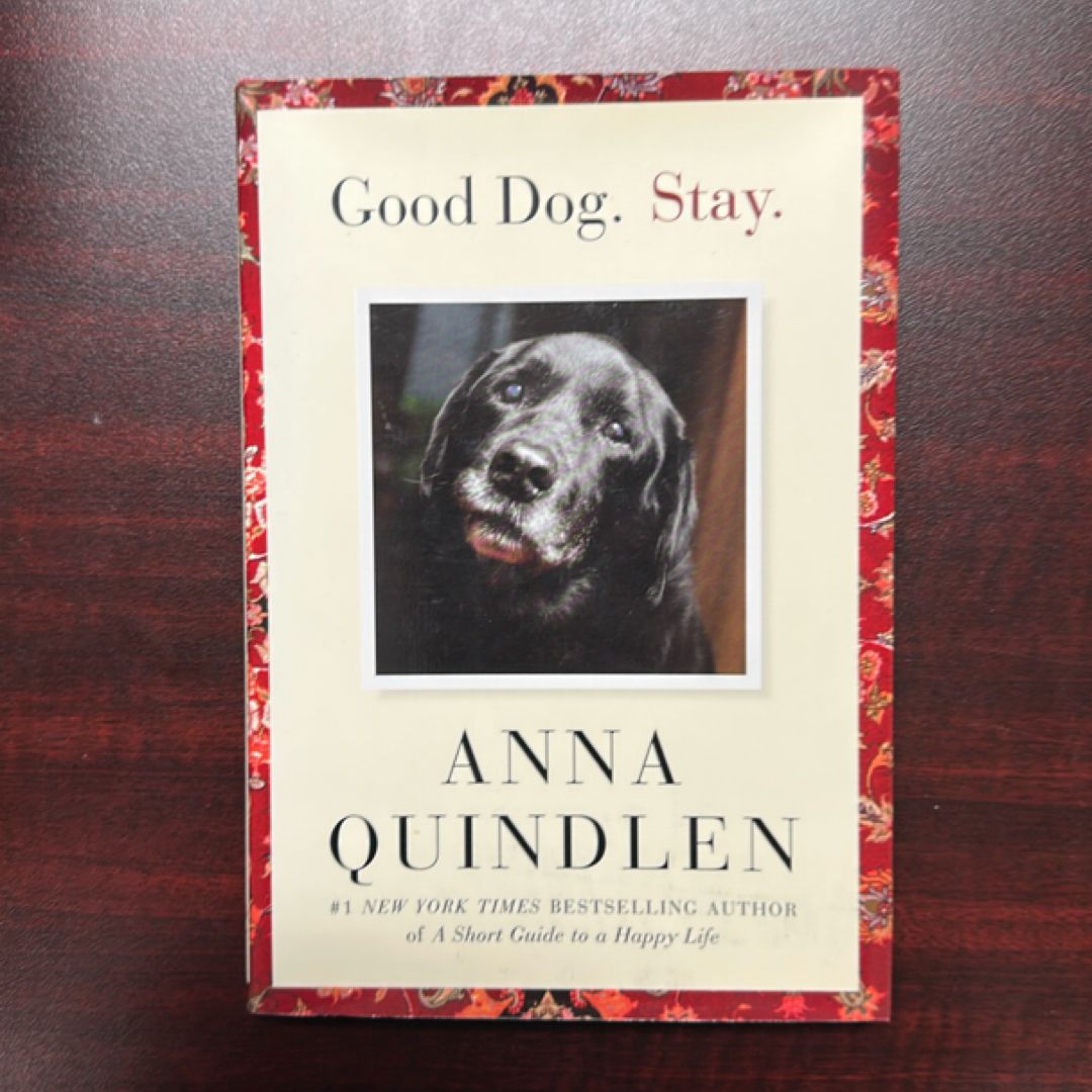 Good Dog. Stay